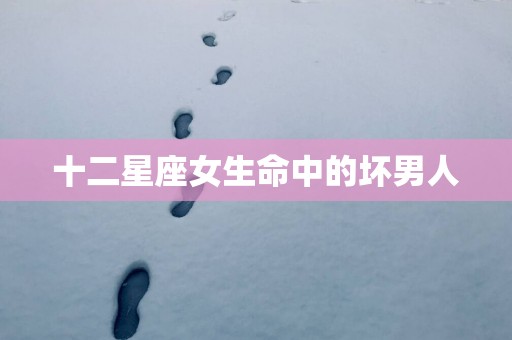 十二星座女生命中的坏男人