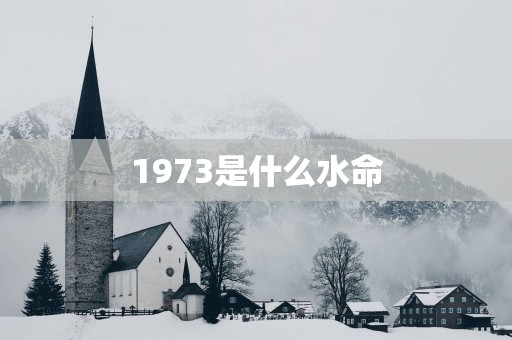 1973是什么水命