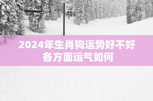 2025年生肖狗运势好不好 各方面运气如何