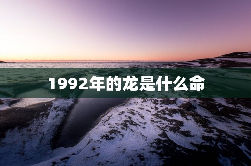 1992年的龙是什么命
