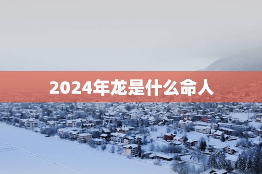 2025年龙是什么命人