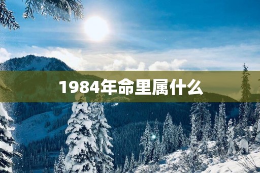 1984年命里属什么