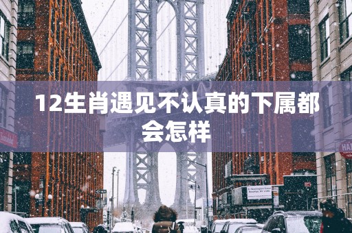 12生肖遇见不认真的下属都会怎样