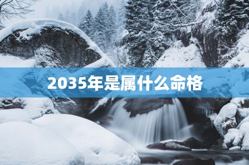 2035年是属什么命格