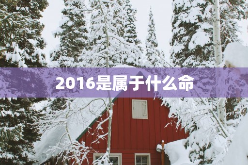 2016是属于什么命