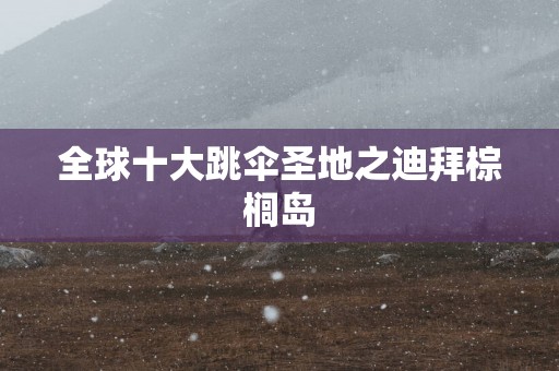 全球十大跳伞圣地之迪拜棕榈岛