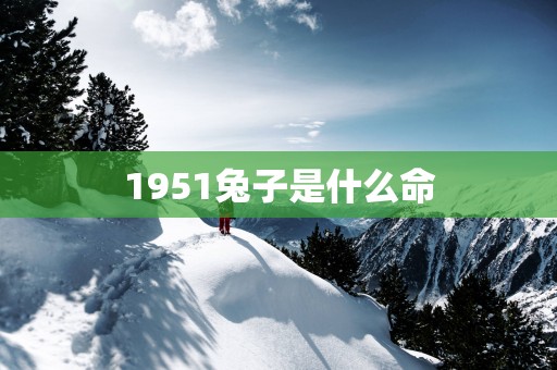 1951兔子是什么命