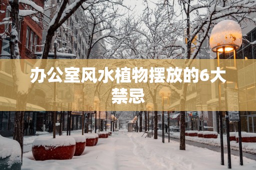 办公室风水植物摆放的6大禁忌