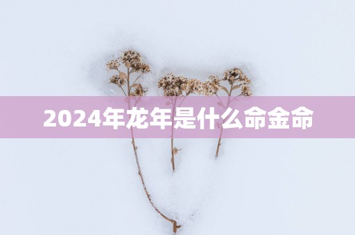 2025年蛇年是什么命金命