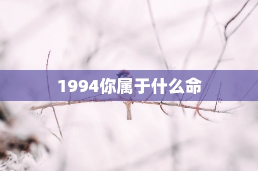 1994你属于什么命