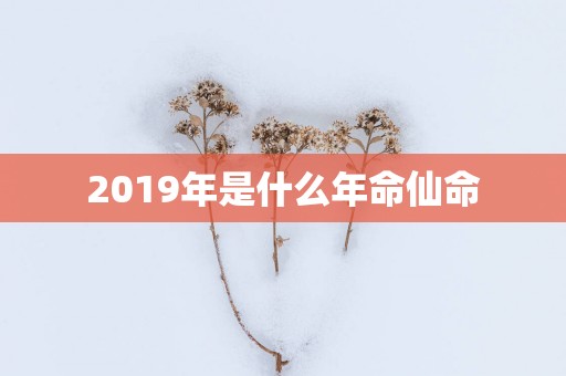 2019年是什么年命仙命