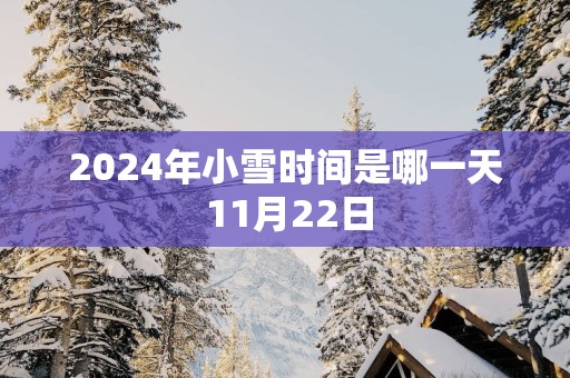 2025年小雪时间是哪一天 11月22日