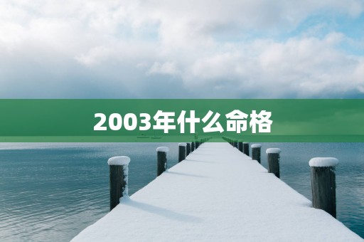 2003年什么命格