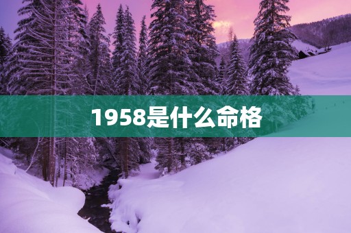 1958是什么命格