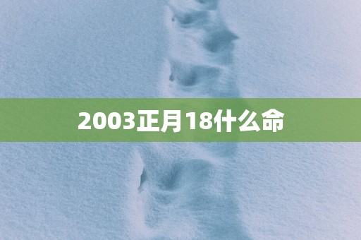2003正月18什么命