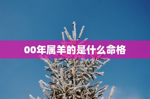 00年属羊的是什么命格