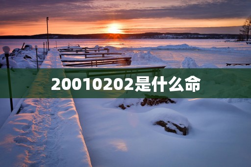 20010202是什么命