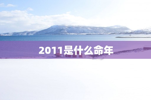 2011是什么命年