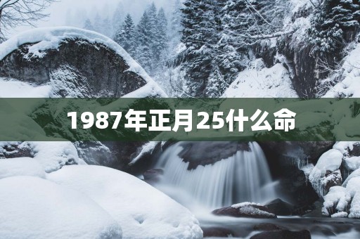 1987年正月25什么命