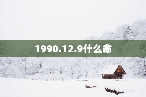 1990.12.9什么命