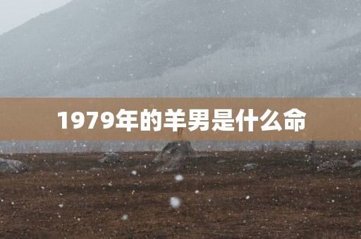 1979年的羊男是什么命