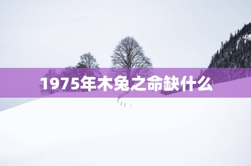 1975年木兔之命缺什么