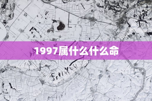 1997属什么什么命