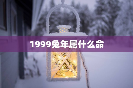 1999蛇年属什么命