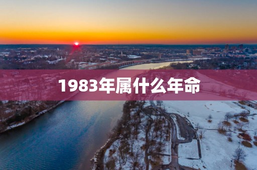 1983年属什么年命