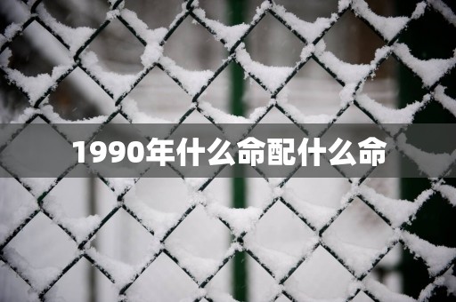 1990年什么命配什么命