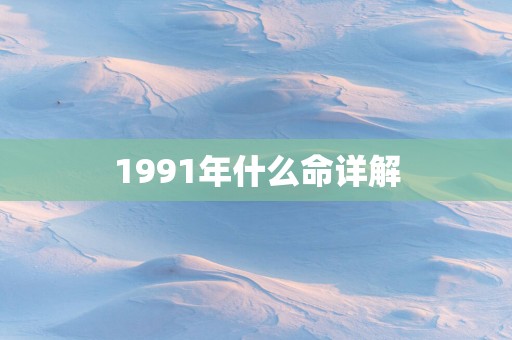 1991年什么命详解