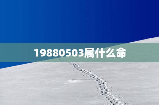 19880503属什么命