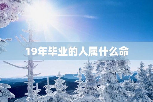 19年毕业的人属什么命