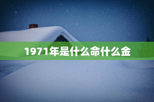 1971年是什么命什么金