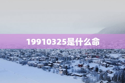 19910325是什么命