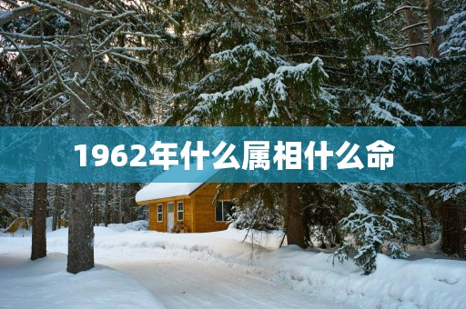 1962年什么属相什么命