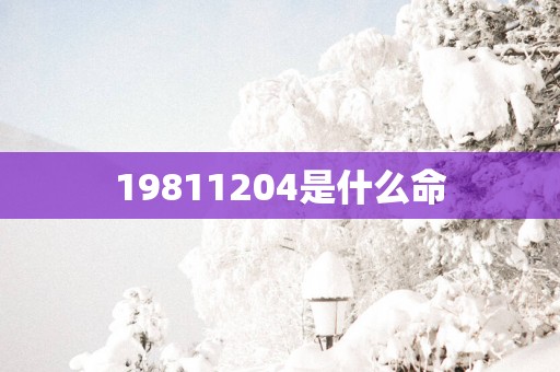 19811204是什么命