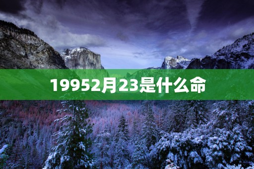 19952月23是什么命