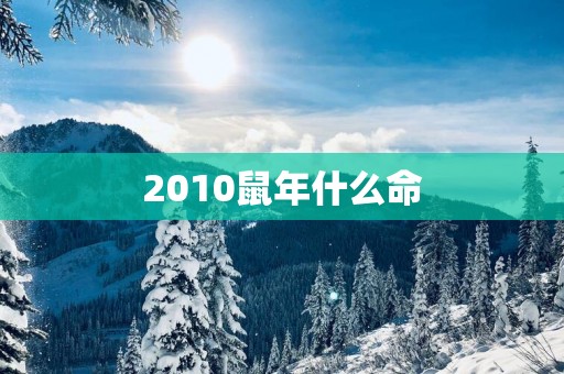 2010蛇年什么命