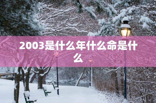2003是什么年什么命是什么