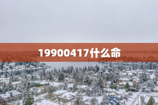 19900417什么命