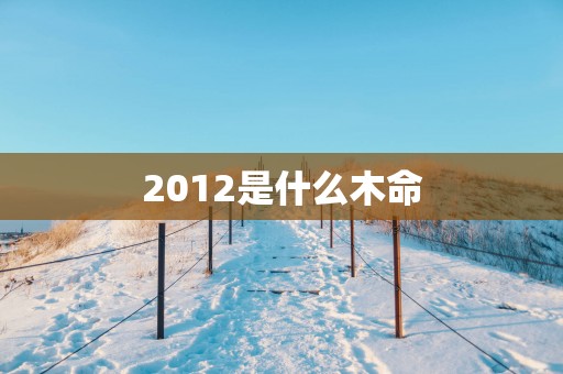 2012是什么木命