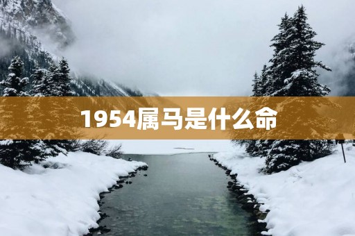 1954属马是什么命