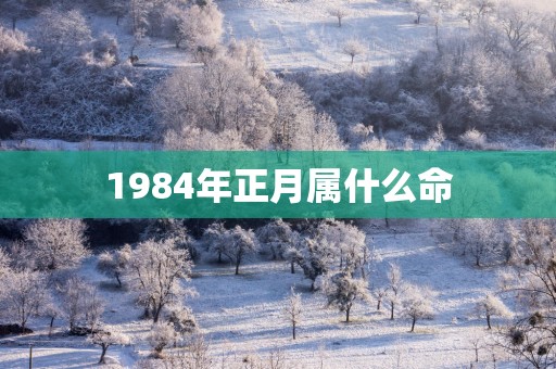 1984年正月属什么命