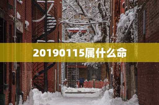 20190115属什么命
