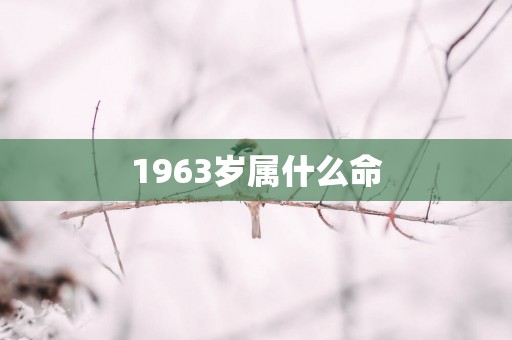 1963岁属什么命
