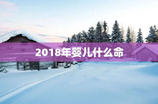 2018年婴儿什么命
