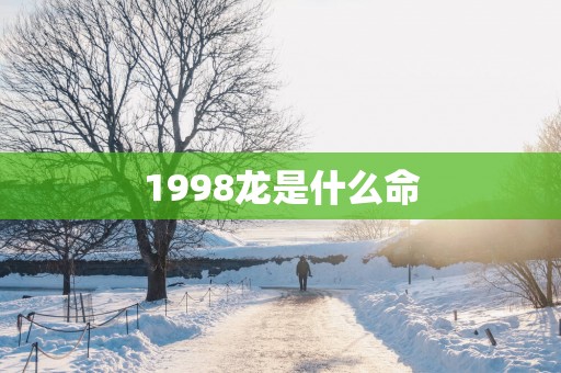 1998龙是什么命