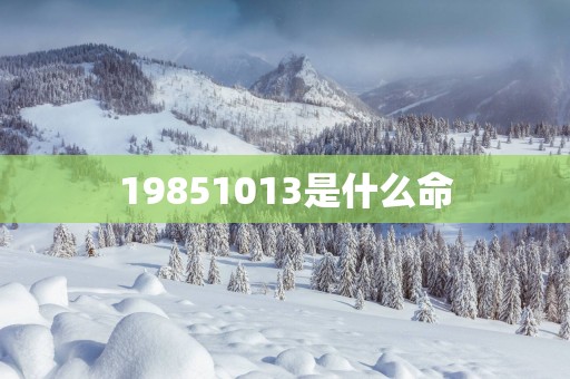 19851013是什么命