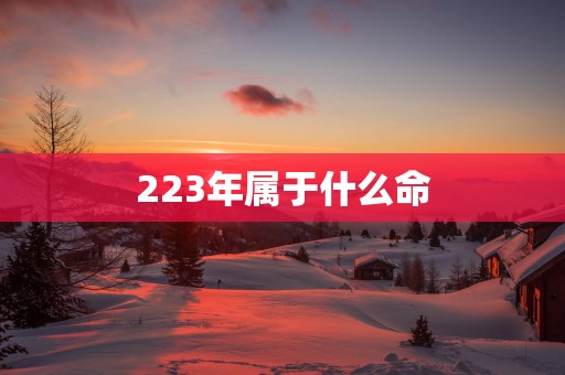 223年属于什么命